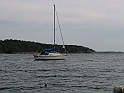 Obraz 808